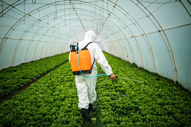 Best Best Pest Control Companies  in Bruce, MS