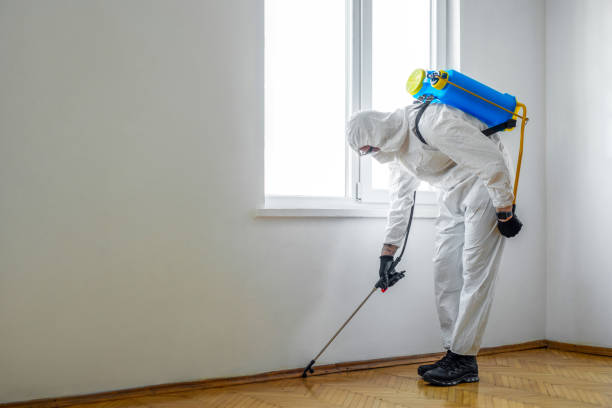 Best Residential Pest Control  in Bruce, MS