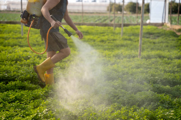 Best Best Pest Control Companies  in Bruce, MS