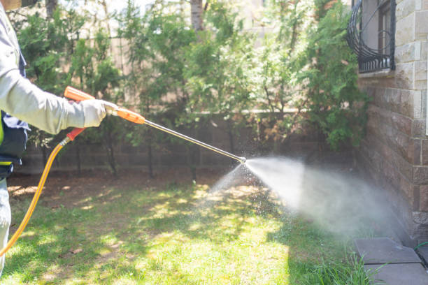 Best Rat Extermination Near Me  in Bruce, MS