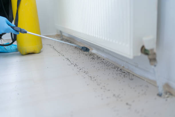 Best Commercial Pest Control Services  in Bruce, MS